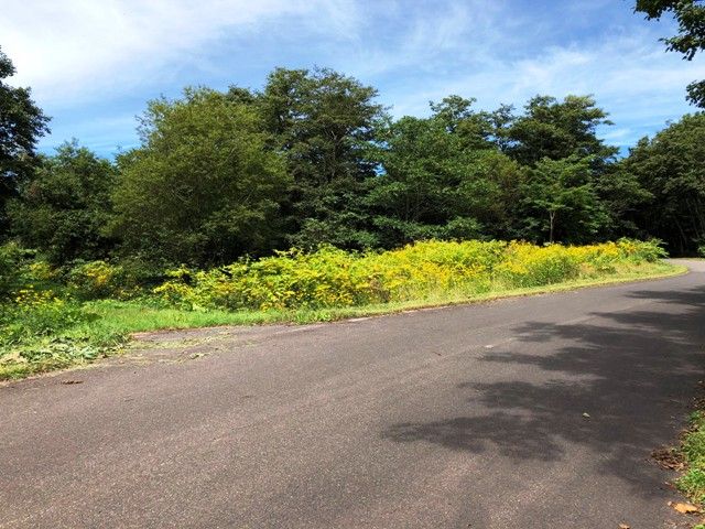 Land for Sale in Rankoshi, Hokkaido - 4,807 sqm with Stream - Thumbnail 3