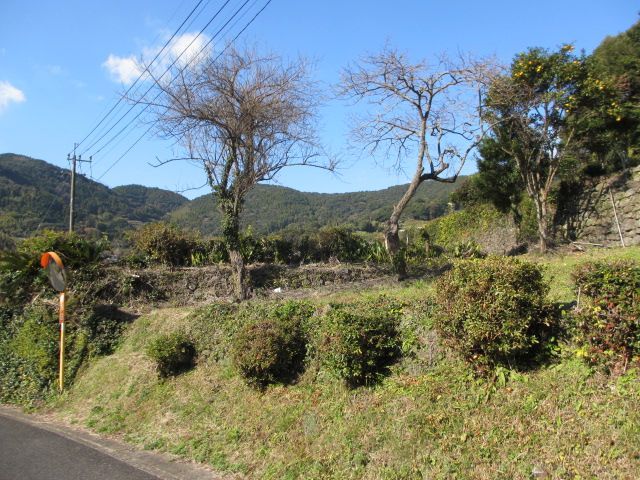 Land for Sale in Sasebo, Nagasaki - 710.74 sqm Plot - Thumbnail 2