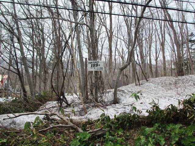 Premium Land for Sale in Niseko, Hokkaido - 660 sqm Plot - Thumbnail 4