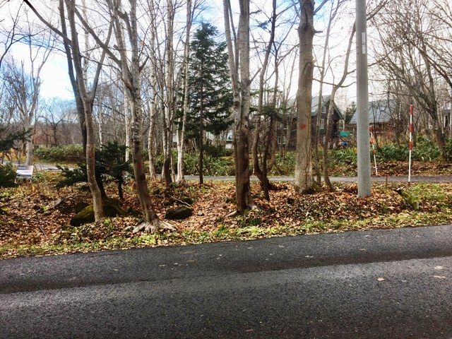 Royal Town High Quality Land 240 for Sale in Niseko, Hokkaido - Thumbnail 2