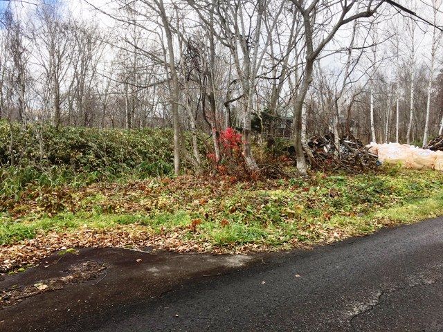 Royal Town High Quality Land 240 for Sale in Niseko, Hokkaido - Thumbnail 3