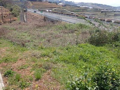 Land for Sale in Higashisonogi, Nagasaki - 1410.32 sqm — Land, Higashisonogi, Nagasaki