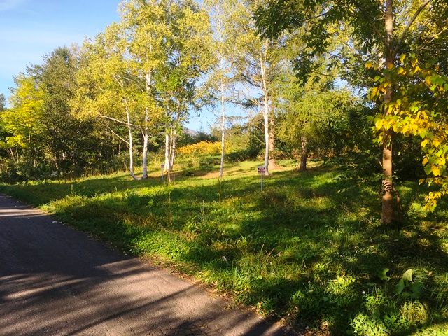 Land for Sale in Rankoshi, Niseko - HighGrade Villa Yuri 123 - Thumbnail 3
