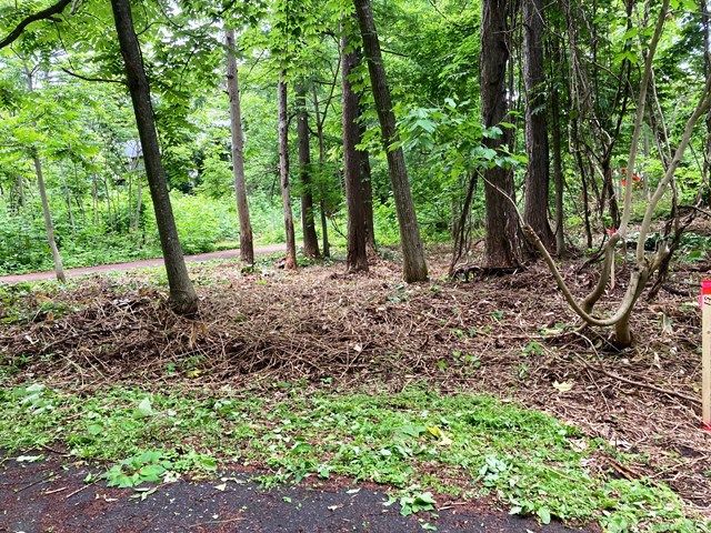 Land for Sale in Rankoshi, Niseko - HighGrade Villa Yuri 147 - Thumbnail 3