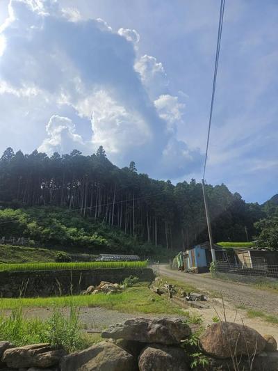 Forest Land for Sale in Higashisonogi, Nagasaki — Land, Higashisonogi, Nagasaki