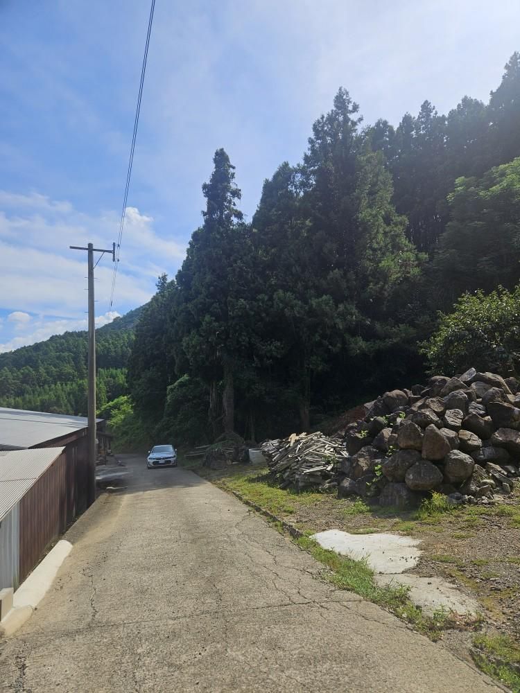 Forest Land for Sale in Higashisonogi, Nagasaki - Thumbnail 2