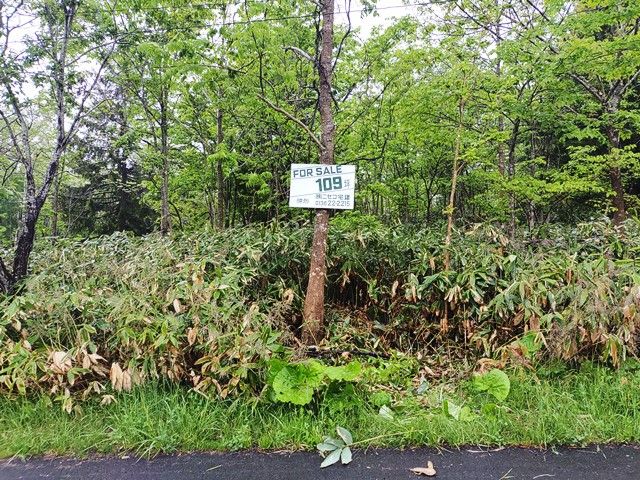 Land for Sale in Rankoshi, Niseko - HighGrade Villa Yuri 109 - Thumbnail 4