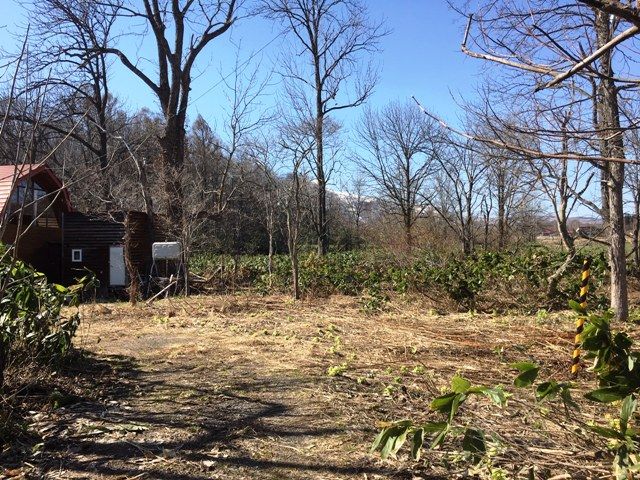 Land for Sale in Niseko Arishima with Mount Yotei Views - Thumbnail 4
