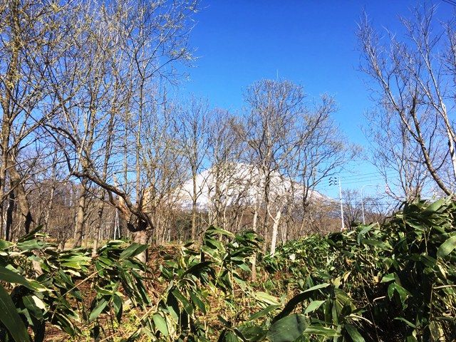 Land for Sale in Niseko Arishima with Mount Yotei Views - Thumbnail 2