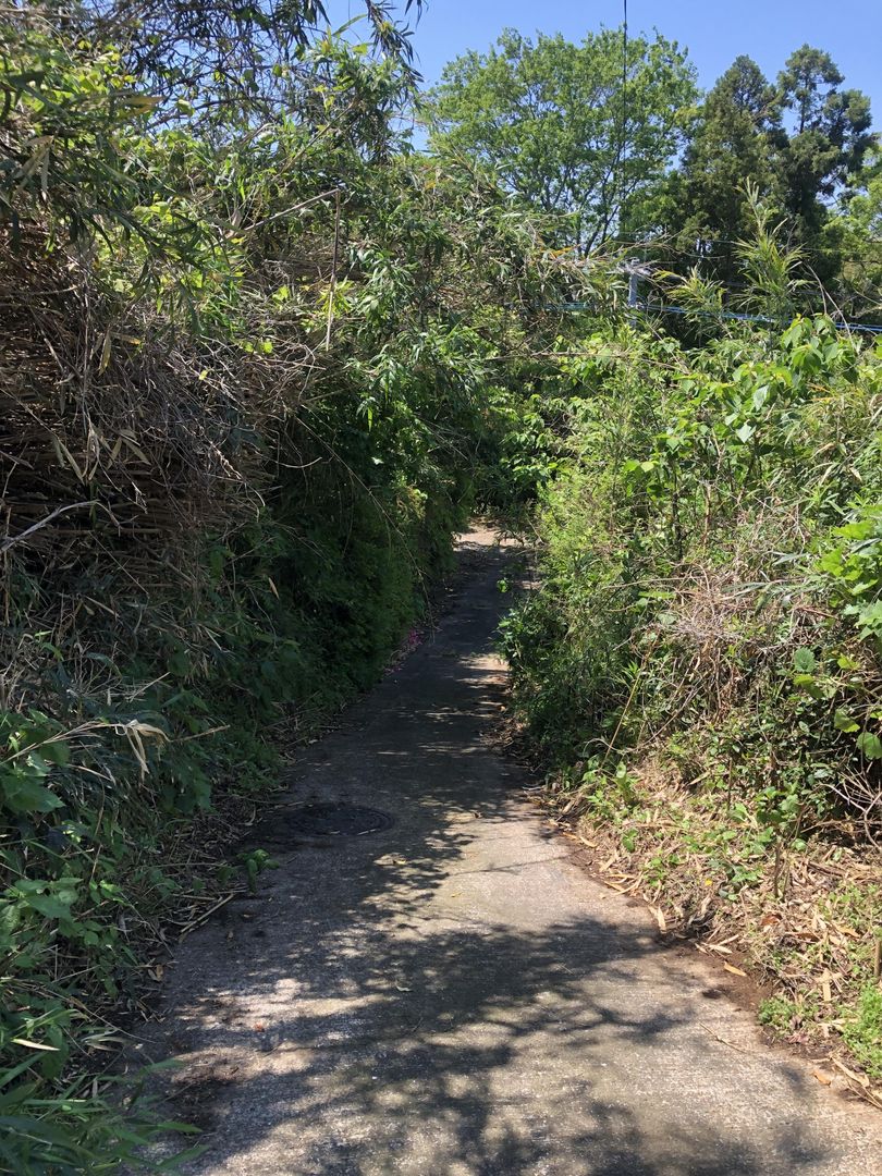 Land for Sale in Unzen, Nagasaki - 384 sqm - Thumbnail 2