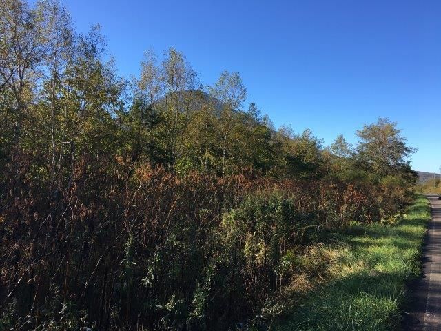 Land for Sale in Makkari, Hokkaido with Mount Yotei View - Thumbnail 3