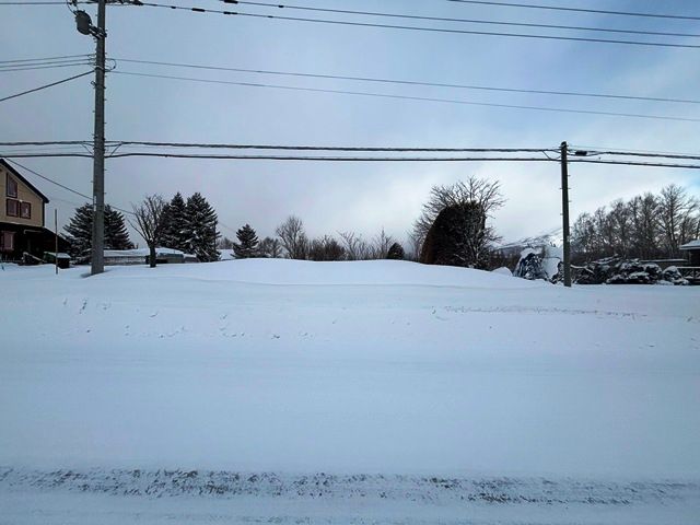 Niseko Land for Sale with Mount Yotei Views - 1,979 sqm Plot - Thumbnail 3