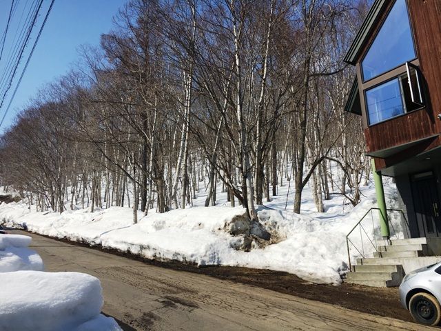 Premium Land for Sale in Niseko's Yamada Area, Hokkaido - Thumbnail 2
