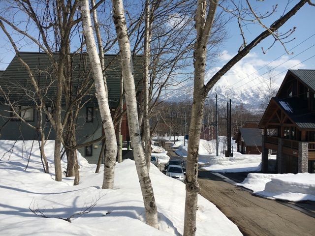 Premium Land for Sale in Niseko's Yamada Area, Hokkaido - Thumbnail 3