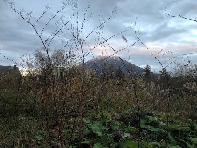 Yotei Mountain View Riverside Land for Sale in Kutchan, Hokkaido - Thumbnail 2
