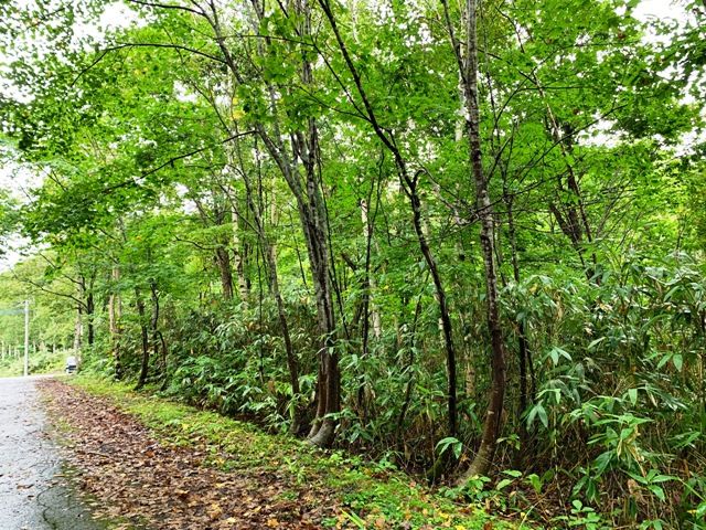 DOCTORSVILLAGE Yurari ⑤ Land for Sale in Rankoshi, Hokkaido - Thumbnail 2