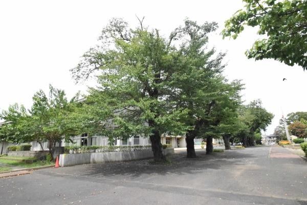 3LDK Apartment for Sale in Mito, Ibaraki - 75.95 sqm - Thumbnail 2