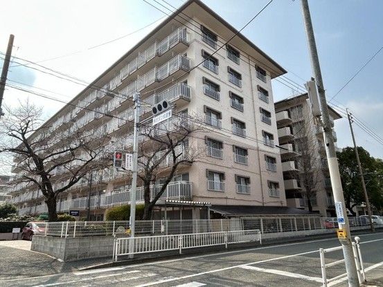 Renovated 3LDK Apartment in Fukuoka City's Jonan Ward - Thumbnail 2