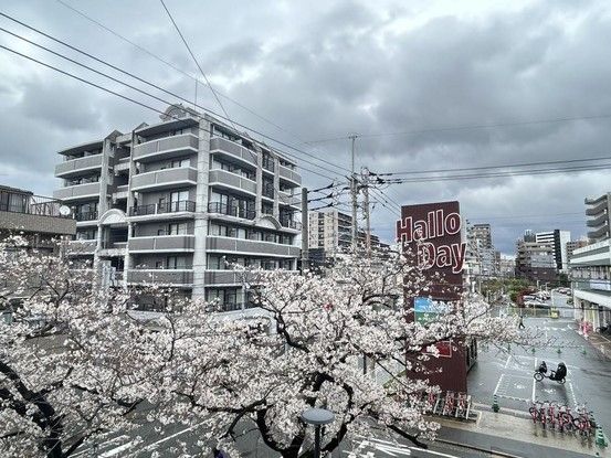 Renovated 3LDK Apartment in Fukuoka City's Jonan Ward - Thumbnail 4