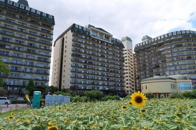 Lake Biwa View 1K Apartment for Sale in Moriyama - Thumbnail 3