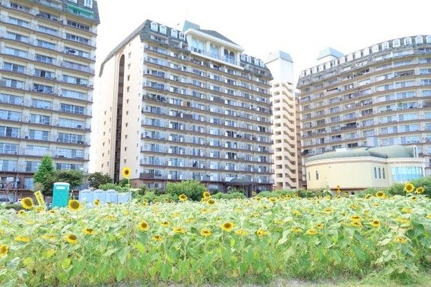 Lake Biwa View 1K Apartment for Sale in Moriyama - Thumbnail 2