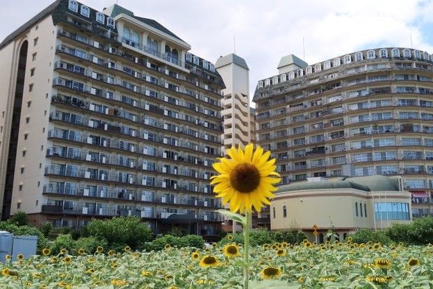 1K Apartment for Sale in Lake Biwa Urban Resort, Moriyama - Thumbnail 4