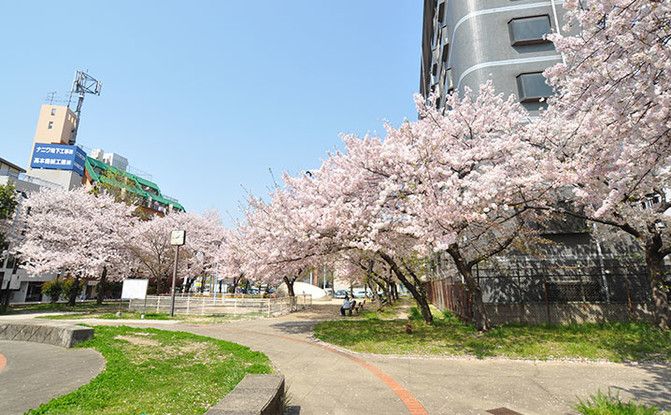 2SLDK Condo in Namba, Osaka - 83,000,000 Yen - Thumbnail 2