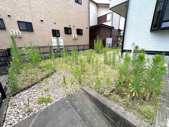 Renovated 3SLDK House in Yokkaichi, Mie - 102.3 sqm - Thumbnail 4