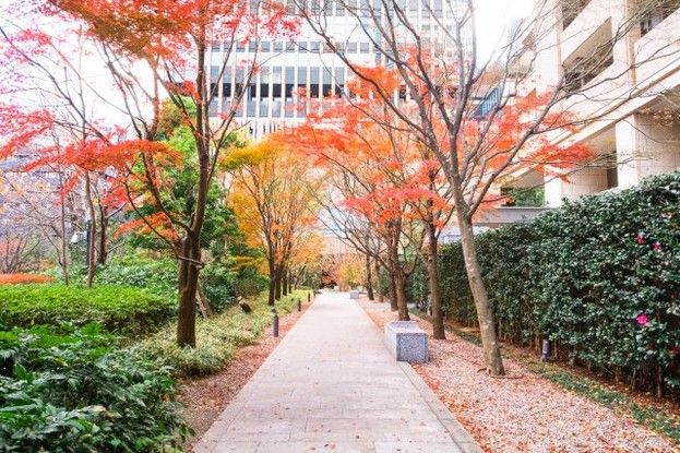 グランフロント大阪オーナーズタワー 28階 2LDK リフォーム済 - Thumbnail 4