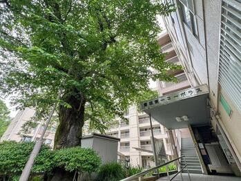 2LDK Apartment in Hino City, Tokyo – 50.22 sqm Near Toyoda Station - Thumbnail 3