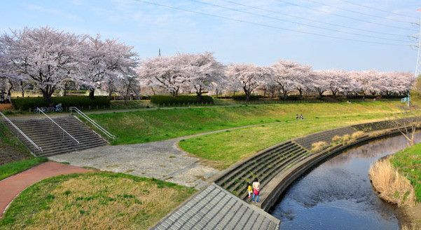 Resale 2K House in Kawagoe, Saitama - 31.87 sqm - Thumbnail 3