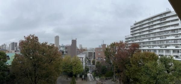Renovated 1LDK Apartment in Shinjuku, Tokyo - 37.18 sqm - Thumbnail 2