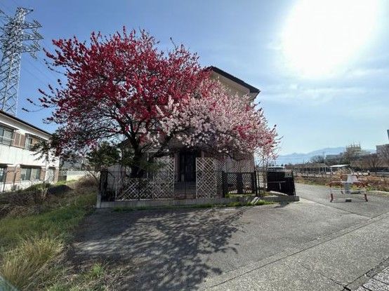 4LDKK Detached House for Sale in Fuefuki, Yamanashi - Thumbnail 2