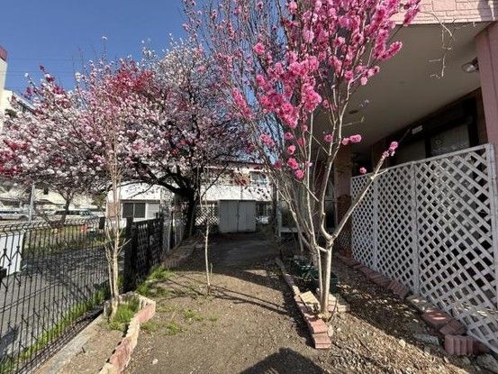 4LDKK Detached House for Sale in Fuefuki, Yamanashi - Thumbnail 3