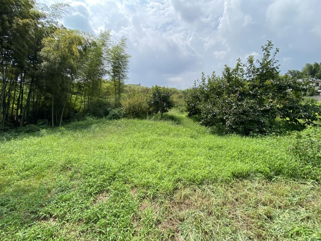 Large Land Parcel for Sale in Kurashiki, Okayama - Thumbnail 3