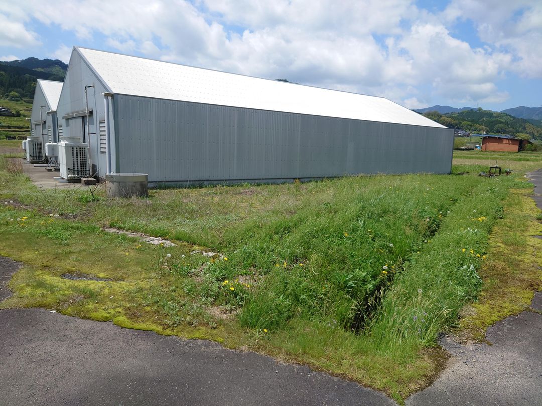 635 Tsubo Residential Land for Sale in Tsuyama, Okayama - Thumbnail 4