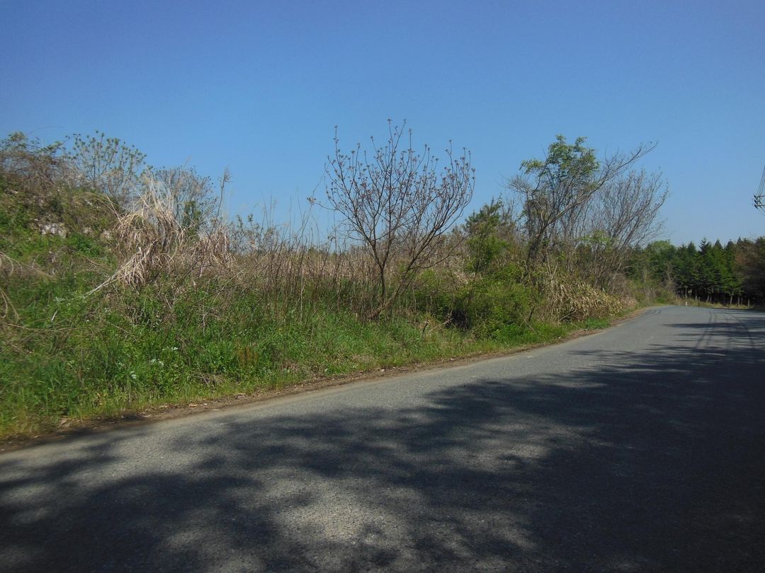 12,239 sqm Forest Land for Development in Mimasaka, Okayama - Thumbnail 2