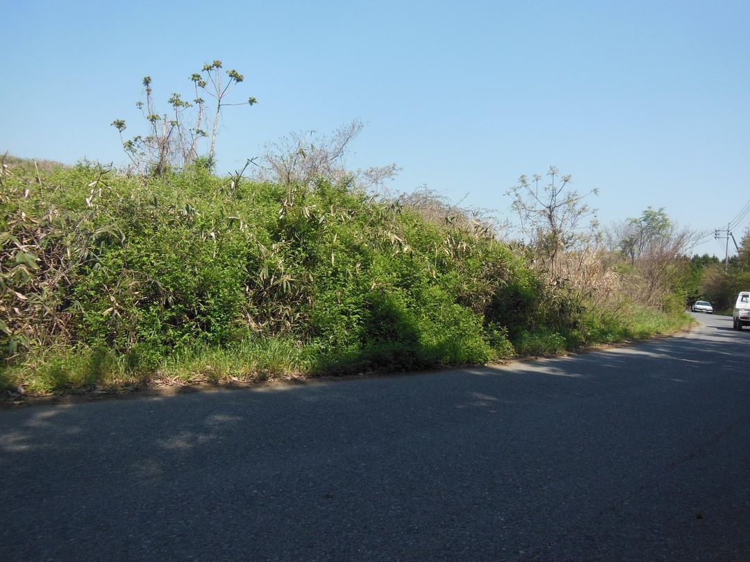 12,239 sqm Forest Land for Development in Mimasaka, Okayama - Thumbnail 3