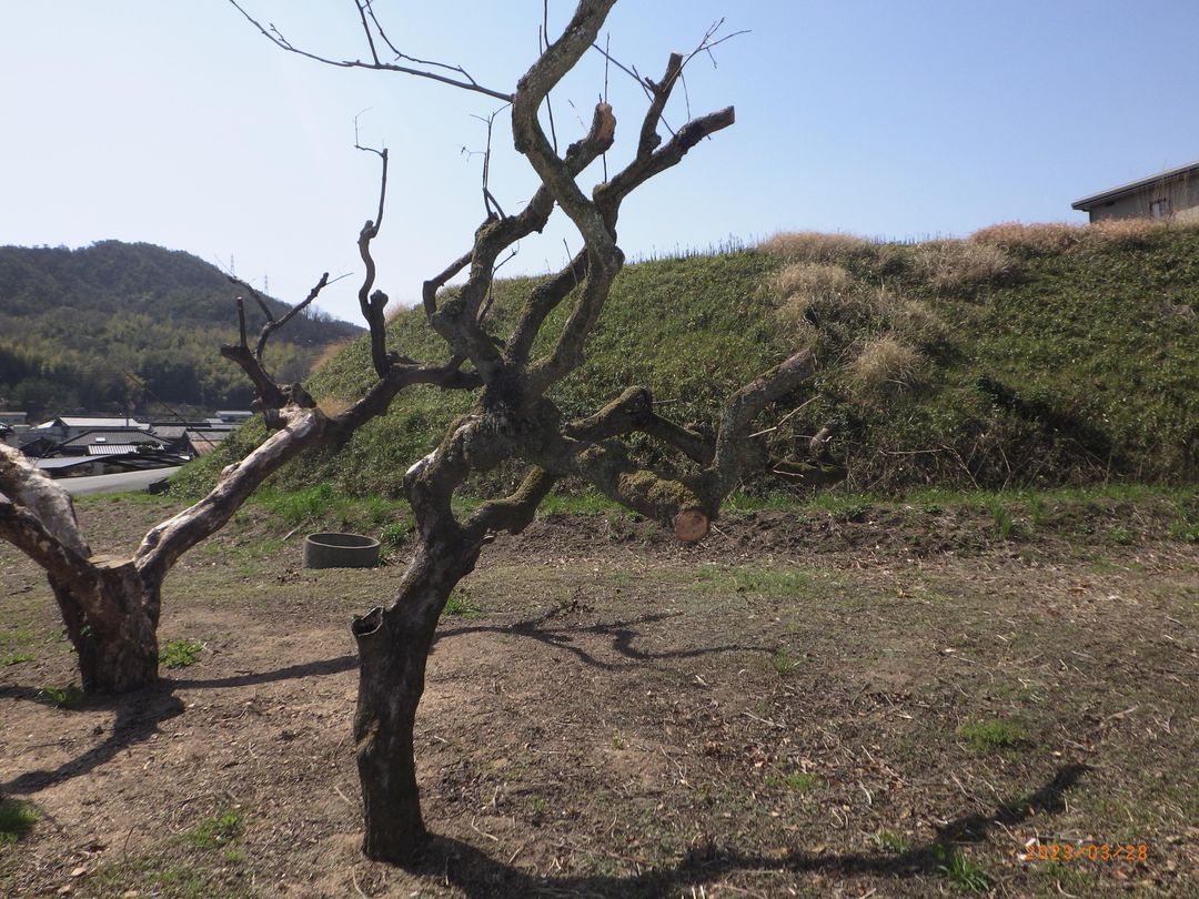 538 sqm Land for Sale in Serene Kamogata, Okayama - Thumbnail 3