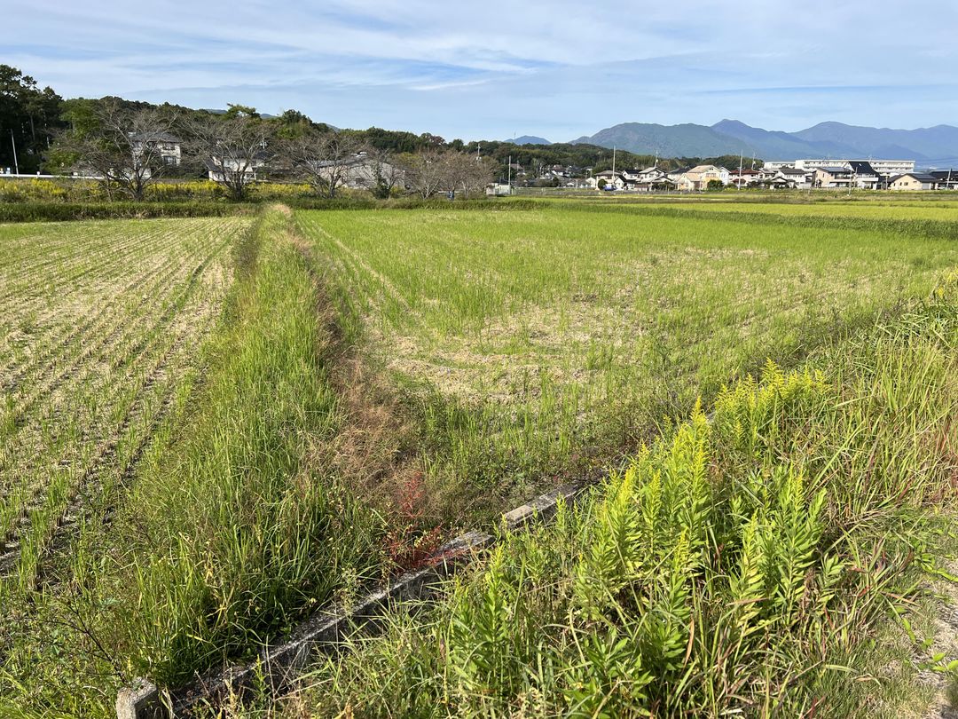 Agricultural Land for Sale in Tsuyama, Okayama - 1,864 sqm Plot - Thumbnail 3