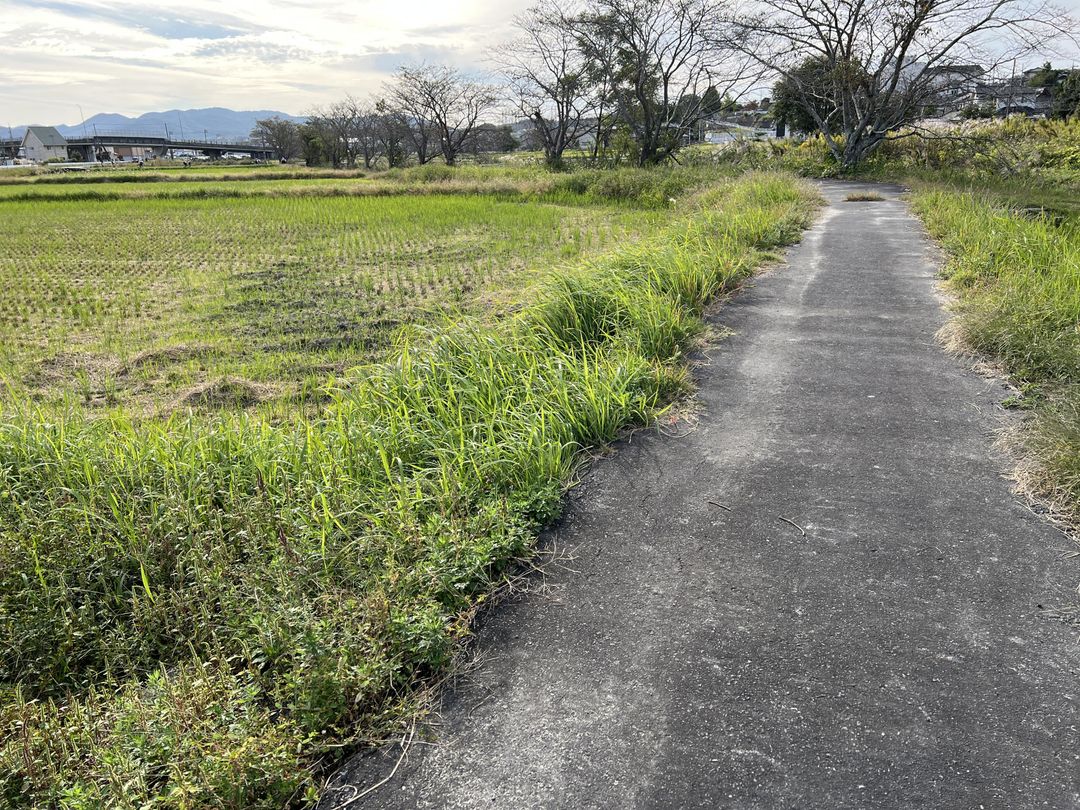 Agricultural Land for Sale in Tsuyama, Okayama - 1,864 sqm Plot - Thumbnail 4
