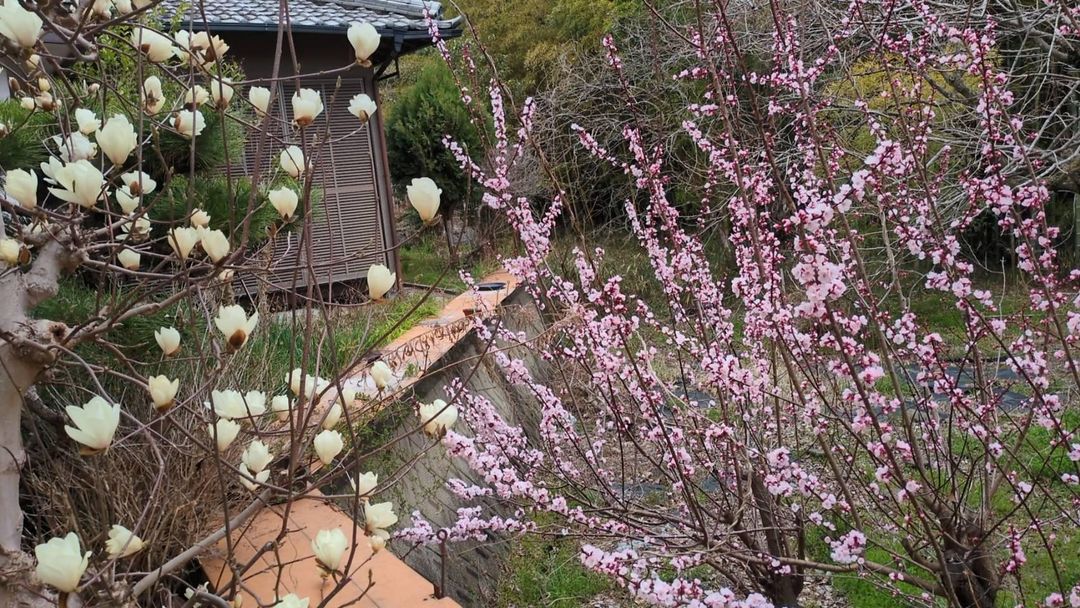 88 Tsubo Residential Land for Sale in Okayama City's Kita Ward - Thumbnail 3