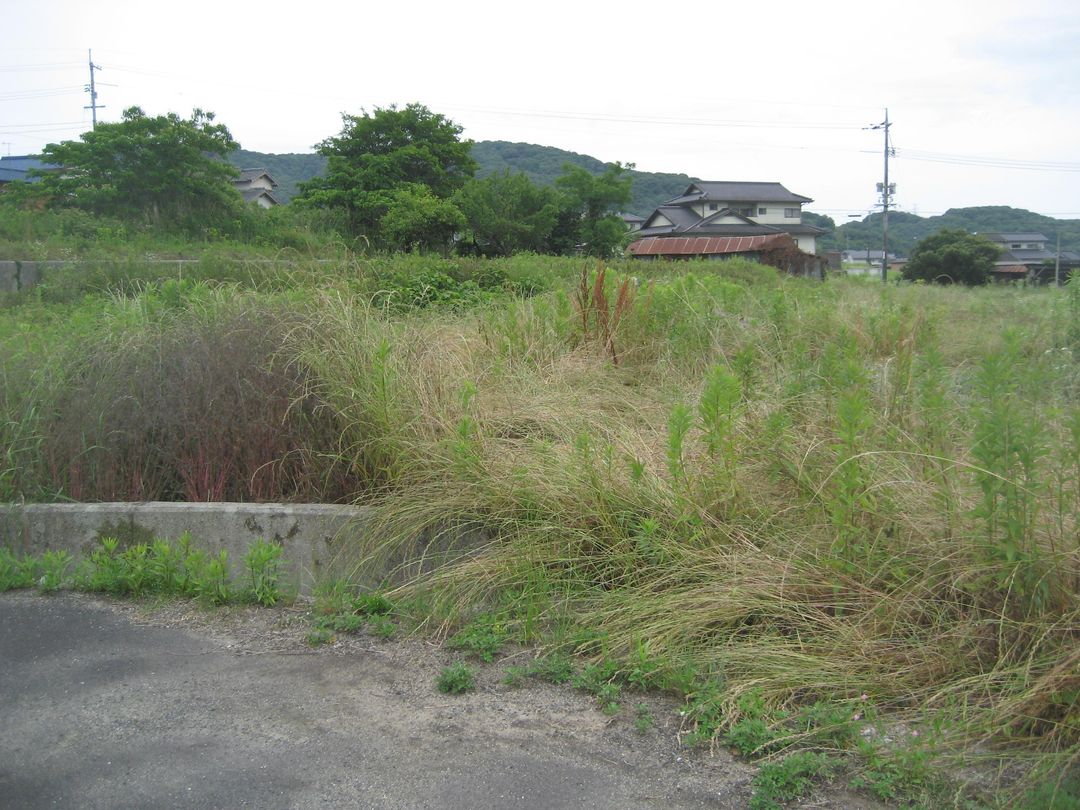 Agricultural Land for Sale in Kasaoka, Okayama - 3500 sqm - Thumbnail 4