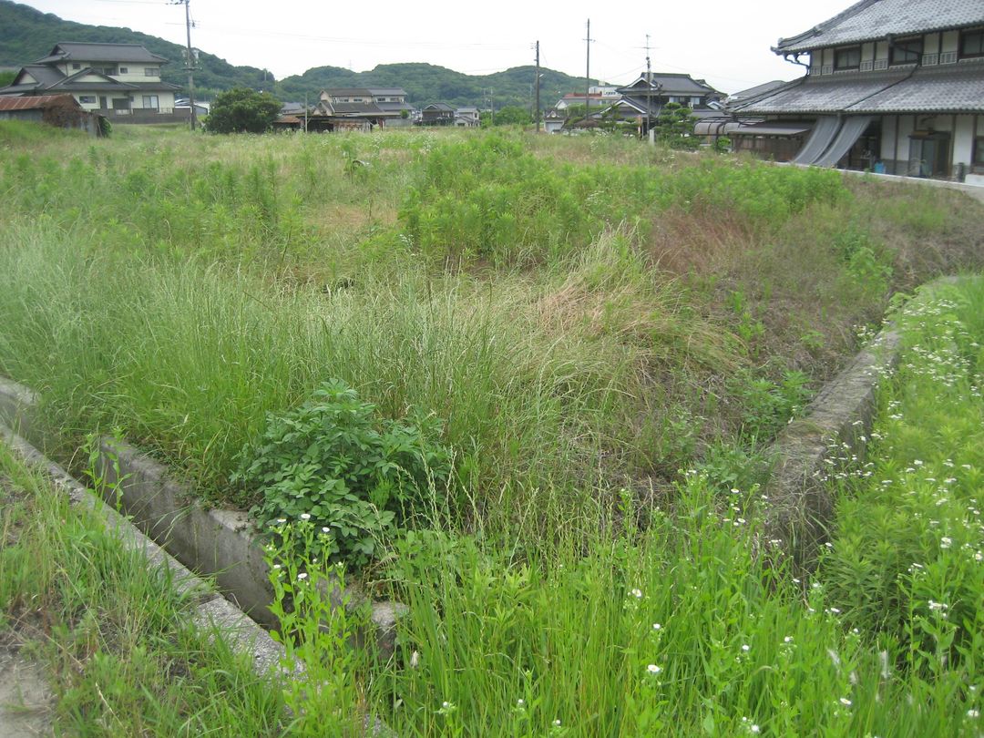 Agricultural Land for Sale in Kasaoka, Okayama - 3500 sqm - Thumbnail 2