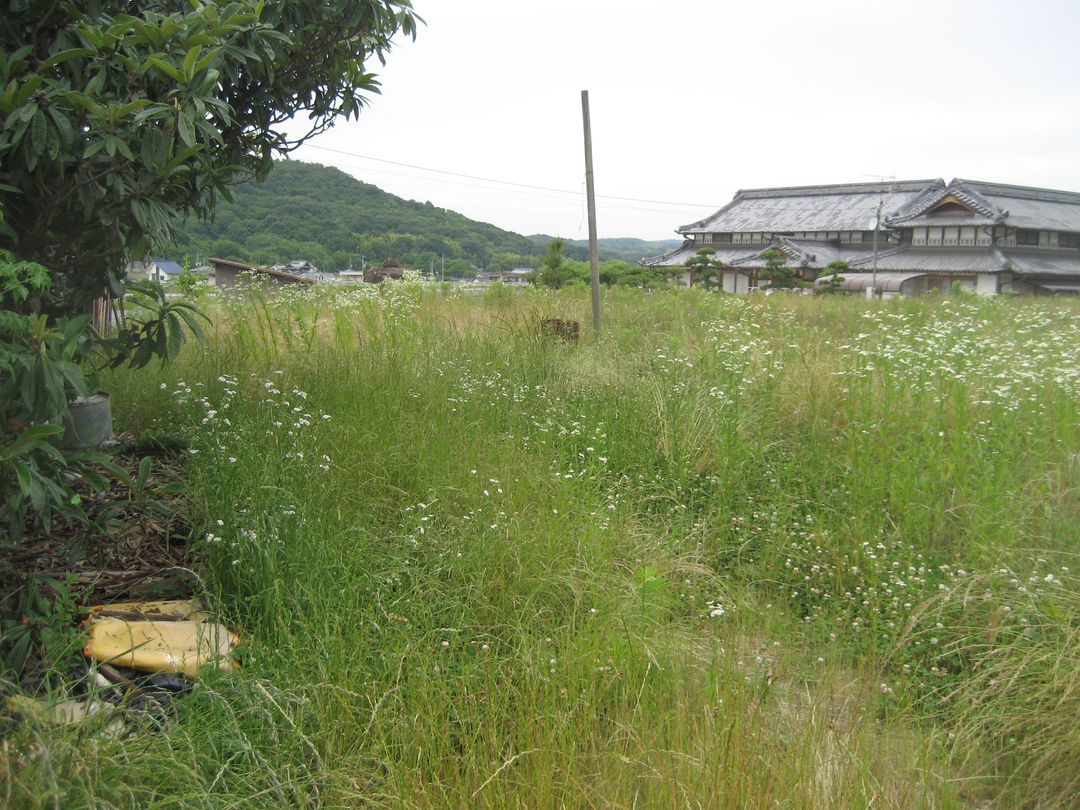 Agricultural Land for Sale in Kasaoka, Okayama - 3500 sqm - Thumbnail 3