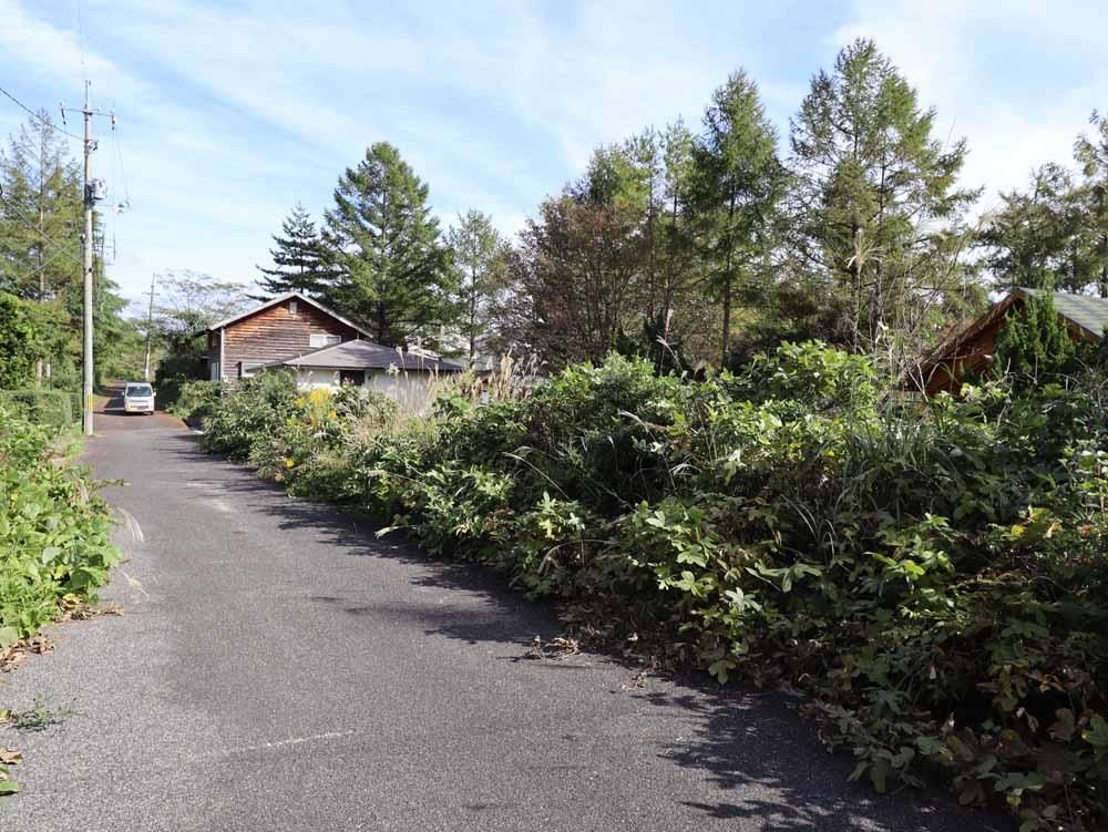 70-Tsubo Land for Sale in Hiruzen Highlands, Okayama - Thumbnail 2