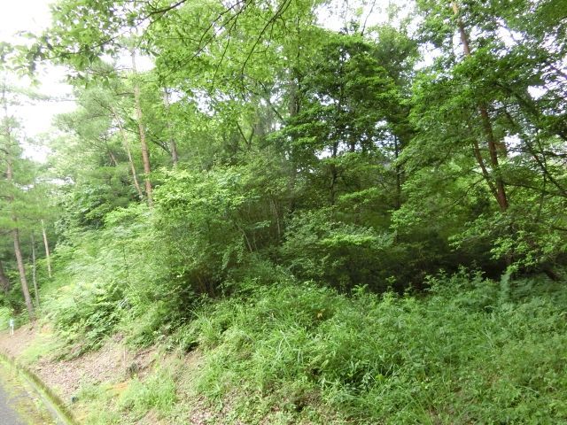 419 sqm Land for Sale in Mimasaka, Okayama - Sloped Residential Plot - Thumbnail 2