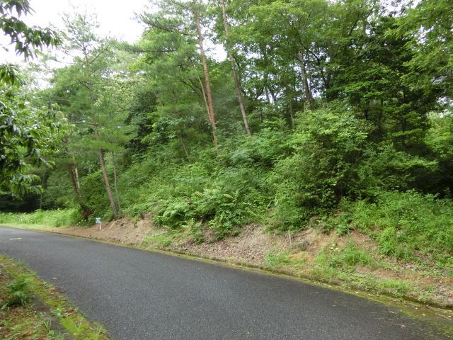 419 sqm Land for Sale in Mimasaka, Okayama - Sloped Residential Plot - Thumbnail 3
