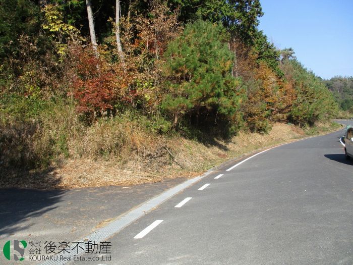 3060 Tsubo Forest Land for Sale in Kibichuo Town, Okayama - Thumbnail 4