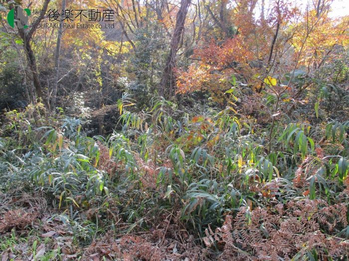 3060 Tsubo Forest Land for Sale in Kibichuo Town, Okayama - Thumbnail 2